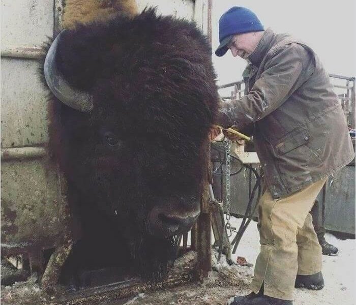 Ces Photos Prouvent Que La Taille Compte Quand Il S’agit De Mère Nature